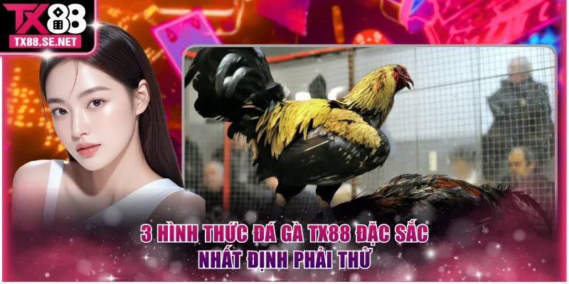3 hình thức đá gà TX88 đặc sắc nhất định phải thử