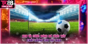 Bóng đá trực tiếp
