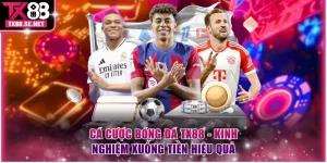 Cá cược bóng đá