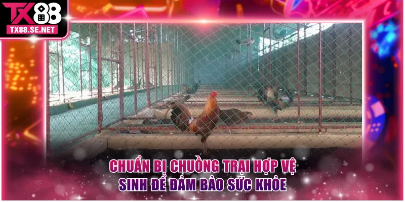 Chuẩn bị chuồng trại hợp vệ sinh để đảm bảo sức khỏe