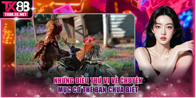 Những điều thú vị về chuyên mục có thể bạn chưa biết
