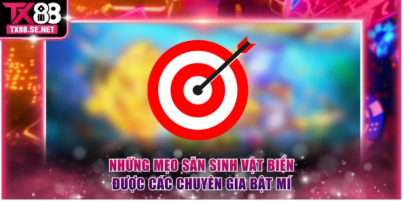 Những mẹo săn sinh vật biển được các chuyên gia bật mí