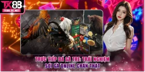 Trực tiếp đá gà tre